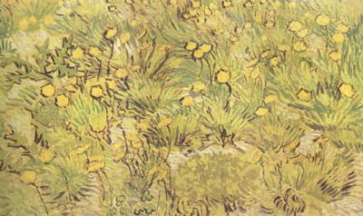 Vincent Van Gogh A Field of Yellow Flowers (nn04) France oil painting art